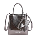 Silberne Mini-Handtasche in Metallic-Optik mit Faltenstruktur und kleinem Etui - Champagnersilber