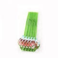 Set of 10 green flexible straws featuring cartoon farm animal decorations and barn icons - Straw