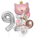 Pink crown cat and silver number 9 balloon set for 9th birthday party decoration - Pink Crown Cat Number 9 Set (12pcs皇冠猫数字套餐粉色9)