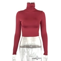 Detail view of burgundy slim fit turtleneck crop top with elastic knitted fabric texture - S / Burgundy