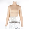 Detail view of the nude slim-fit cropped mock neck long sleeve top on a clear mannequin - Apricot