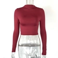 Detail of burgundy slim fit cropped long sleeve top with a mock neck collar design - S / Burgundy