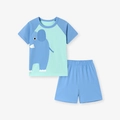 Sommerset für Jungen mit blauem Raglan-T-Shirt und niedlichem Elefanten-Cartoon-Muster - 2Y(90cm) / Hellblau (2182)