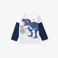 Toddler boys long sleeve t-shirt with blue dinosaur print and ROOAR! graphic - 2Y(90cm) / Dinosaur Print Long Sleeve T-Shirt Only (Without Pants) (55200)