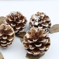 Lot de quatre pommes de pin naturelles avec effet neige pour décoration de Noël - Pin du Nord-Est (5-6cm)
