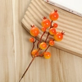 Nahaufnahme von künstlichen roten Beeren mit realistischer Textur auf Holzgrundlage - Zweifarbige Granatapfelbeere / Orange
