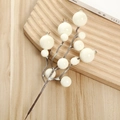 Detailansicht künstlicher weißer Beeren mit Schnee-Effekt für festliche Dekoration - Perllack-Granatapfelbeere / Beige