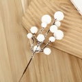 Detail of decorative white frosted berry branches with faux snow texture for Christmas - Snow White
