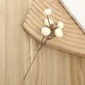 Künstliche weiße Beeren Zweig Dekoration für minimalistisches Design und Fotografie - 5 Kopf Apfel Stil / Weiß