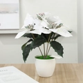 Artificial white poinsettia plant in a white ceramic pot on a wooden table setup - White 2