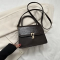 Deep brown crossbody square bag with vintage leather texture and gold metal buckle - Brown