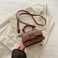 Dark brown lychee pattern leather mini crossbody bag with metal buckle strap detail - Brown