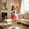 Girls summer set with white cartoon graphic T-shirt and pink layered tulle tutu skirt - Top And Bottom / Pink / 100cm-4Y
