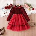 Dettaglio dell'abito da bambina in velluto con colletto a balze e gonna in tulle rosso - 110cm (4Y) / Rosso