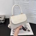 Elegant beige paneled crossbody bag with golden hardware and hand-held strap - White