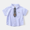 Detail of baby boy light blue shirt with grey plaid tie and bear embroidery - 120cm / Blue