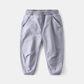 Kids light purple-grey thickened joggers with dinosaur patch and elastic waist - 90 (Open Crotch Available) / Light Gray