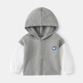 Jongens hoodie van wafelstof met grijs en wit gelaagd mouwontwerp en AE-applicatie - 90cm / Grijs