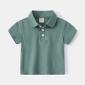 Front view of a minimalist short-sleeved cotton polo shirt for boys in sage green - 90cm / Aqua Green