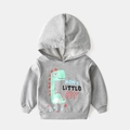 Sweat à capuche gris pour petit garçon avec motif dinosaure et texte imprimé - Gris / 90cm