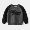 Detail van 3D-borduurwerk en raglanmouwen op het gevoerde sweatshirt voor kinderen - 90cm / donkergrijs