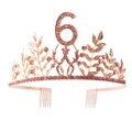 Detail of rose gold birthday tiara with pink rhinestones and number 6 charm and side combs - 6th Birthday Crown Only