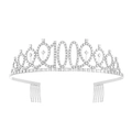 Elegant silver birthday tiara with rhinestones featuring number 100 and side hair combs - 100 Years Old Silver