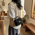 Elegant black quilted chain bag for women in vintage style with gold clasp - Black