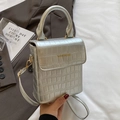 Silver crocodile texture mini bag with gold hardware and brand logo on shoulder strap - No Pendant / Silver