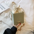 Sac boîte rigide vert sauge avec doublure crème à cordon et bandoulière chaîne dorée - Vert clair