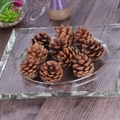 Set of natural dried pine cones in a glass tray for rustic holiday home decorations - 4-5cm Style