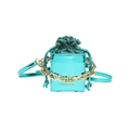 Glossy light blue mini bucket bag with gold chain strap and drawstring lining - Green