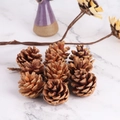 Natural pine cones for Christmas tree decoration and DIY crafts on marble surface - 3-4cm Style