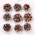 Natural white frosted pine cones set of 9 for Christmas tree hanging decorations - White Snow Style (3-4CM) / 3-4cm