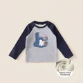 Kids grey and navy raglan long sleeve T-shirt with penguin print and fleece lining - 80 / Gray