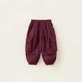 Boys burgundy cargo joggers with elastic waist and ribbed cuffs in minimalist style - 90 / Brown Red