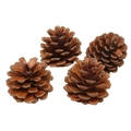 Set de 4 piñas naturales con puntas blancas para decoración de árboles de Navidad - Color Original