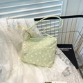 Hellgrüne Gingham-Schultertasche mit Gänseblümchen-Print und weißer Spitzenschleife - Grün