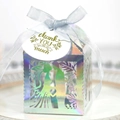 Holographic laser-cut wedding favor box with romantic cutout and silver silk ribbon - With Gift Tag