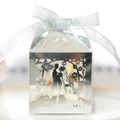 European laser cut wedding favor candy box with groom and bride silhouette and ribbon - Reflective Silver