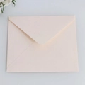 Square 150GSM pearlescent paper envelope in pale pink with gummed seal and dried flowers - 16x16cm Square Style (150G Dusty Pink)