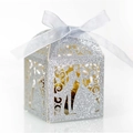 Scatola bomboniera argento glitterata tagliata al laser con silhouette di sposi - Argento Glitter