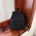 Mini sac à dos noir en peluche laineuse avec cordon en cuir et rabat élégant - Noir
