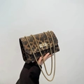 Leopard print crossbody bag with gold chain strap and metallic press-lock closure - Brown