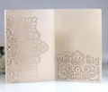 Macro shot of laser-cut mandala floral patterns on champagne pearlescent cardstock - Flesh Pink
