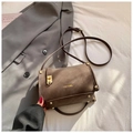 Minimalist vintage dark brown crossbody bag with gold hardware and logo detail - Standard Type / Brown
