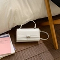 Détail d'un sac à main blanc gaufré crocodile avec fermoir rotatif argenté et poignée - Blanc