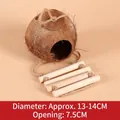 Natural coconut shell bird nest with a wooden ladder for small parrots and budgies - Large Natural With Ladder