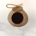 Extra large natural coconut shell bird nest with hanging rope, 14-16cm diameter - Extra Large Polished Hanging Type