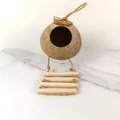 Natural coconut shell bird nest with a 4-step wooden ladder for parrots and finches - Large Polished With Ladder